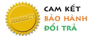 doi tra viego
